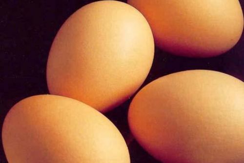 Foto: V Plané se vloupal zloděj do sklepa, odnesl 50 vajec