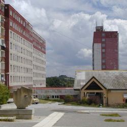 Strážníci vlezli do bytu oknem, zachraňovali astmatičku