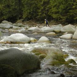 Šumava: Nejvíc pršelo v srpnu, Vltava neklesla pod 50 cm