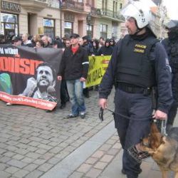 Zelení pořádají v sobotu v Plzni pochod proti neonacismu