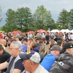 APETIT FESTIVAL praskal ve švech