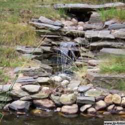 Arboretum Sofronka zve ve čtvrtek na hrátky do lesa
