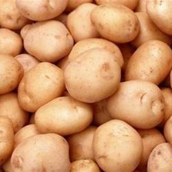 Brambor je málo, nejspíš opět podraží