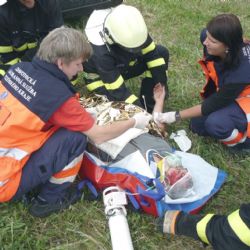 Dispečeři záchranky využijí pomoc autorizovaných osob