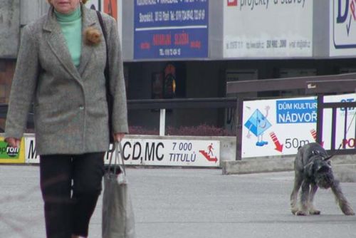 Foto: Chmaták obral důchodkyni na ulici o kabelku