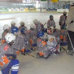 HC Plzeň může zdarma poskytnout stadion pro Lekov cup 