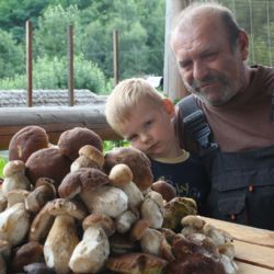 Houby rostou i na Rokycansku, řidiči parkují v lesích