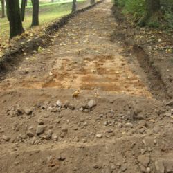 Lesopark Homolka v Plzni prochází obnovou