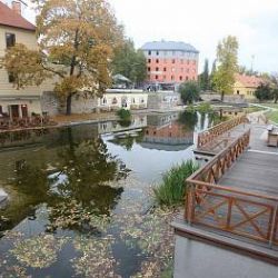 Mlýnská strouha se chystá na zimu, ve středu přijde o ryby 