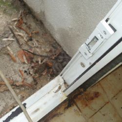 Na dvoře plzeňské SK Radbuza se plazila zmije
