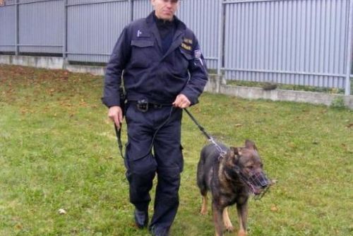 Foto: Najít lup nebyl pro policejního psa problém