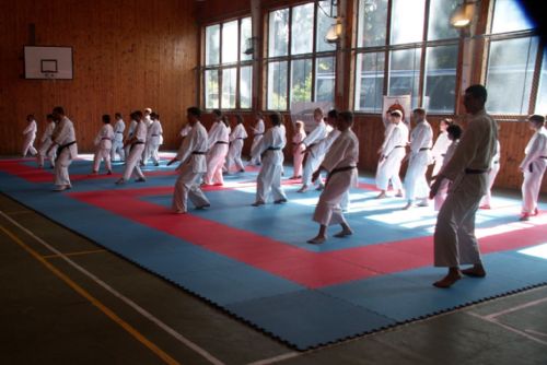Foto: Narama pořádala na Špičáku Letní školu karate
