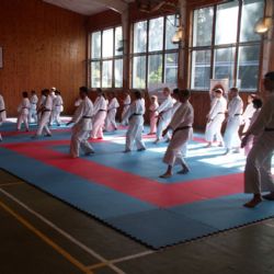 Narama pořádala na Špičáku Letní školu karate