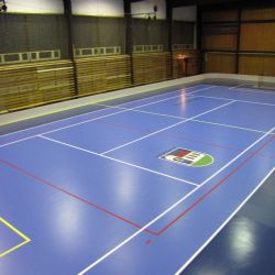 Nepomuk má opravenou sportovní halu a čističku