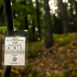 Nová outdoorová hra pro uživatele GPS dorazila do Plzně