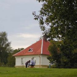 Radčice budou mít nové uliční stromořadí