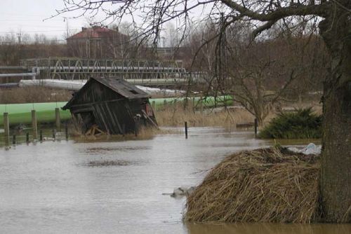 Foto: Práce v Koterově řece pomáhají