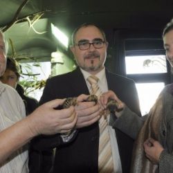 Plzeňské zoo se podařilo odchovat poprvé želvy paprsčité