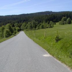 Plzeňský kraj pečuje o stromy a zeleň u silnic