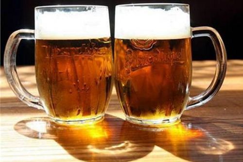 Foto: Plzeňský kraj prezentuje v Brně svou bohatou pivní tradici