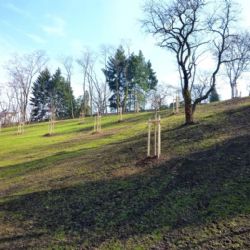 Plzeňský park U Ježíška čekají další úpravy 