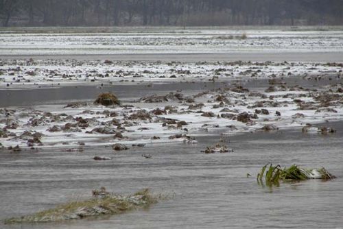 Foto: Radbuza v Liticích a ve Lhotě zatopila zahrady