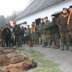 Rokycanské městské lesy zakončily sezonu lovem