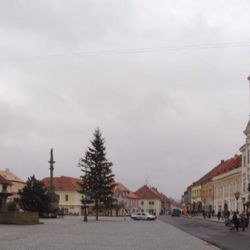 V Rokycanech onanoval před dívkou. Neznáte ho?