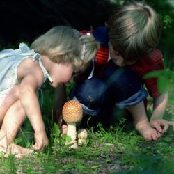 Školy mohou využít nabídky environmentálních projektů