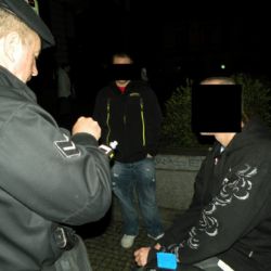 Strážníci o víkendu v Plzni chytili pět opilých mladistvých