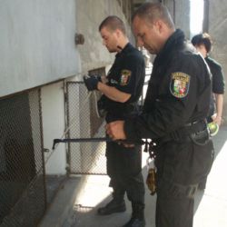 V objektu Škodovky strážníci slaňovali pro kočku a kunu 