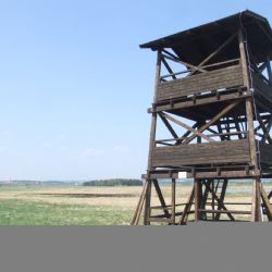 V rezervaci Nový rybník hořelo. Neviděli jste žháře?