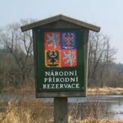 Vedení parku zřídí šumavskou linku