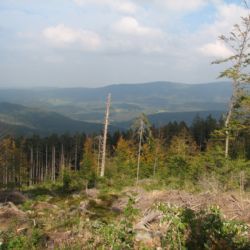 Vycházka zavede v pátek turisty na tři kvildské tisícovky