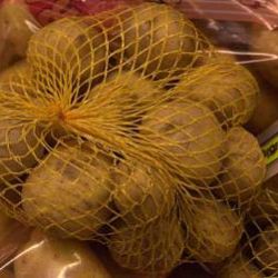 Z polí na Klatovsku mizí brambory. Dovozci jsou levnější  