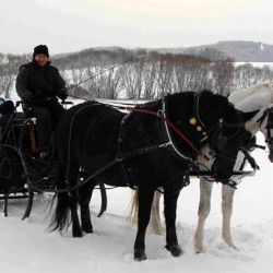 Železnou Rudou se můžete projet v historických saních