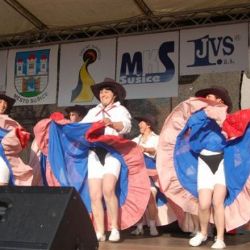 Akce v Sušici a okolí březen 2012