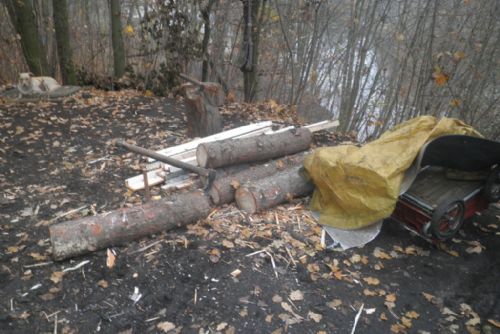 Foto: Bezdomovci si chtěli zatopit, káceli stromy