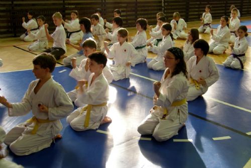 Foto: Bojovníci z Naramy cvičili v Nečtinech okinawské karate