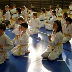 Bojovníci z Naramy cvičili v Nečtinech okinawské karate