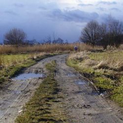 Za hřištěm na Nové Hospodě má vzniknout přírodní park