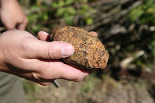Foto:  Detektorem kovu našel u Bušovic dva granáty z druhé světové války