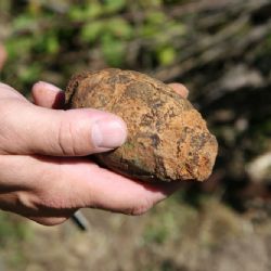 Děti v neděli našly na šumavské Modravě ruční granát