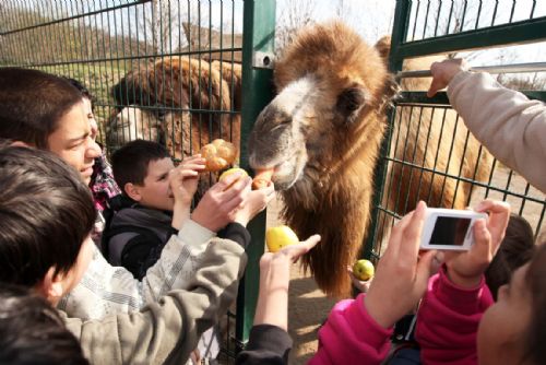 Foto: Děti z dětských domovů přivítaly jaro v zoologické zahradě