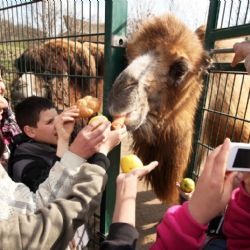 Děti z dětských domovů přivítaly jaro v zoologické zahradě