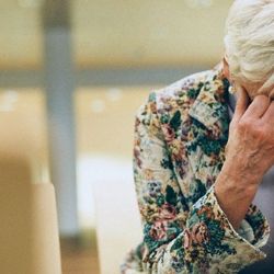 dTest: Předváděcí akce lákají klienty; ti se neváhají porvat 