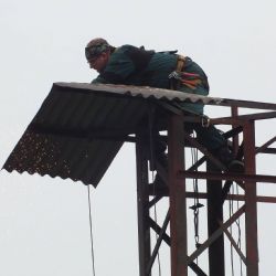 Ekologové rekonstruovali čapí hnízdo na Tachovsku