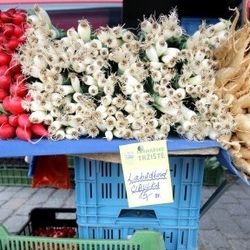 Farmářské trhy v Sušici nabídnou potraviny i zábavu