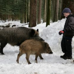 Infocentrum Alžbětín zve na výlet do Bavorského lesa