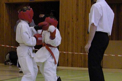Foto: Narama v neděli pořádá pro děti krajskou soutěž v karate